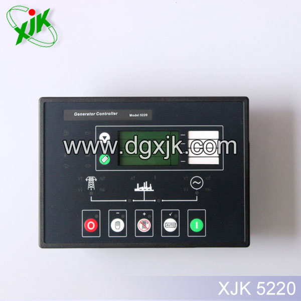 DSE5220